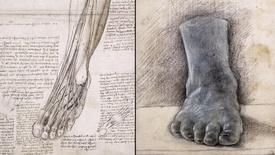 Leonardo da Vinci Investigates the Human Body: asset-mezzanine-16x9