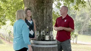 Winemakers create small batches of wine in Virginia