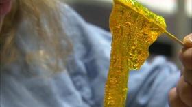 Video thumbnail: The Friday Zone IU Science Fest