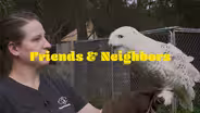 Friends & Neighbors | Episode 107