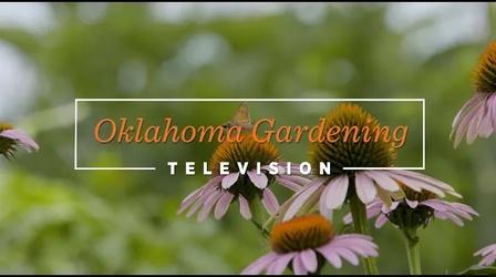 Video thumbnail: Oklahoma Gardening #4926 Horticulture Science on the Best of Oklahoma Gardening