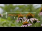 #4926 Horticulture Science on the Best of Oklahoma Gardening