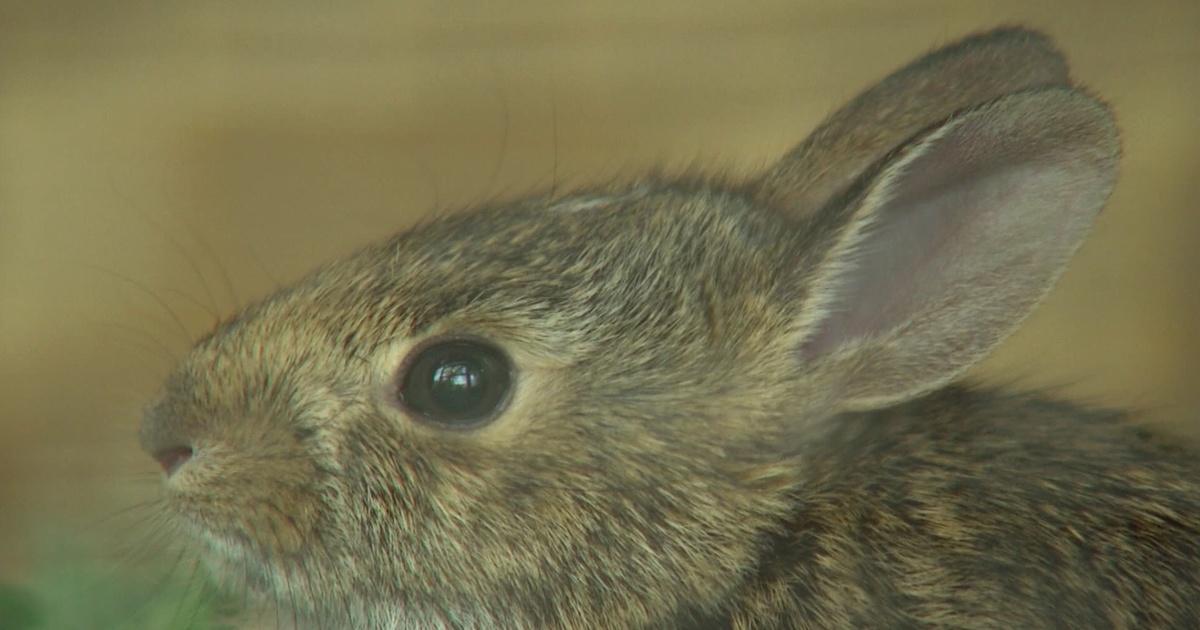 Charlottesville InsideOut Rockfish Wildlife Sanctuary Season 10