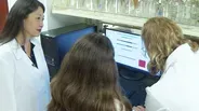 May 17, 2018 | Growing brain cells