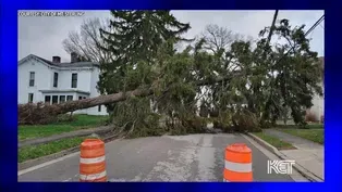 Biden OKs Disaster Declaration