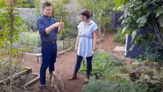 Remaking a Yard into Flowers, Food, Joy
