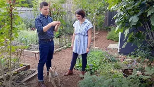 Remaking a Yard into Flowers, Food, Joy