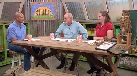 Video thumbnail: The Family Plot Raptors & Garden Fences