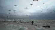 Making of "The Ocean's Greatest Feast"