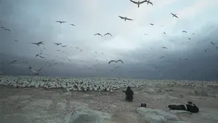 Making of "The Ocean's Greatest Feast"