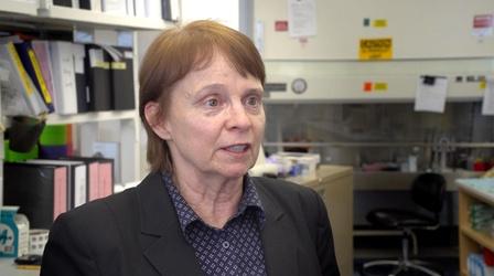 Video thumbnail: Living St. Louis Virus Expert