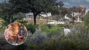 From Parking Lot to Pollinator Plants