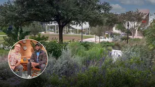 From Parking Lot to Pollinator Plants