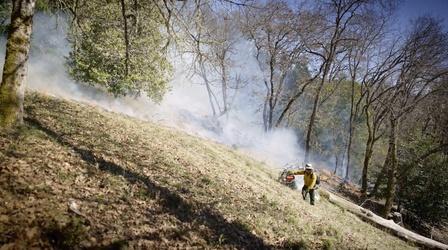 Video thumbnail: Local, USA Fire Tender | The Native Practice of Controlled Burns