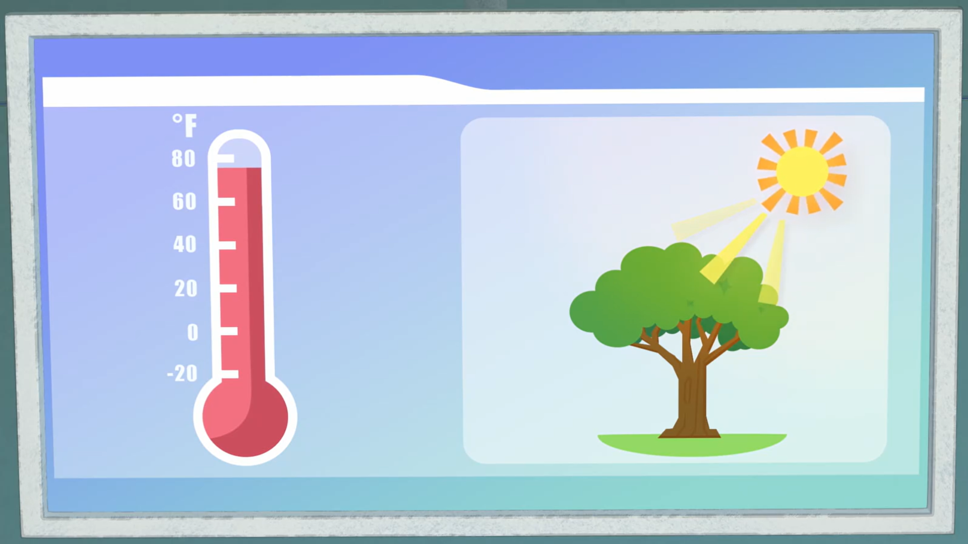 The Colors of Leaves