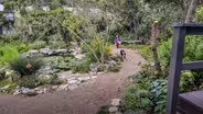 Garden Diary of Life’s Progression: Colleen Belk