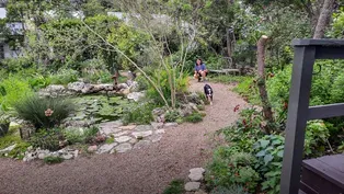 Garden Diary of Life’s Progression: Colleen Belk