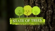 State of Trees