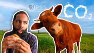 Is It Time For You to Ditch Milk and Dairy?