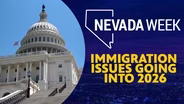 Immigration issues going into 2026