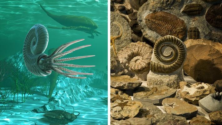 Earth's Worst Mass Extinction Is Actually a Warning: asset-mezzanine-16x9