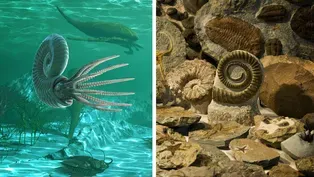 Earth's Worst Mass Extinction Is Actually a Warning