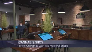 Has Illinois Fixed its Flawed Marijuana Industry Expansion?