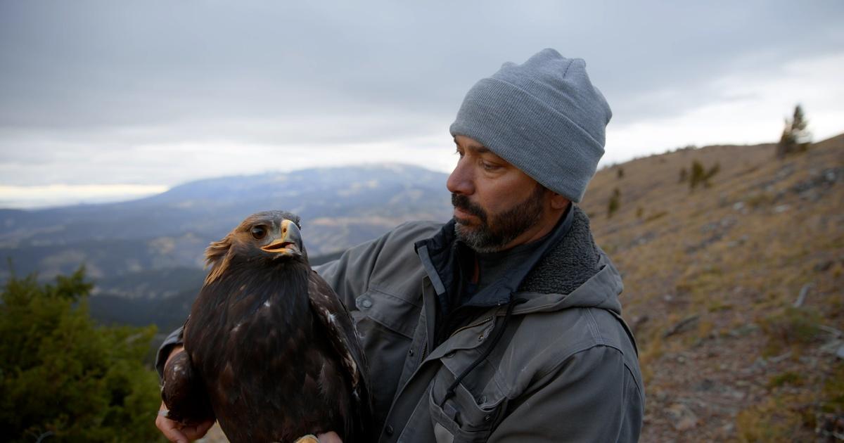 Nature | Unleaded | WILD HOPE | PBS