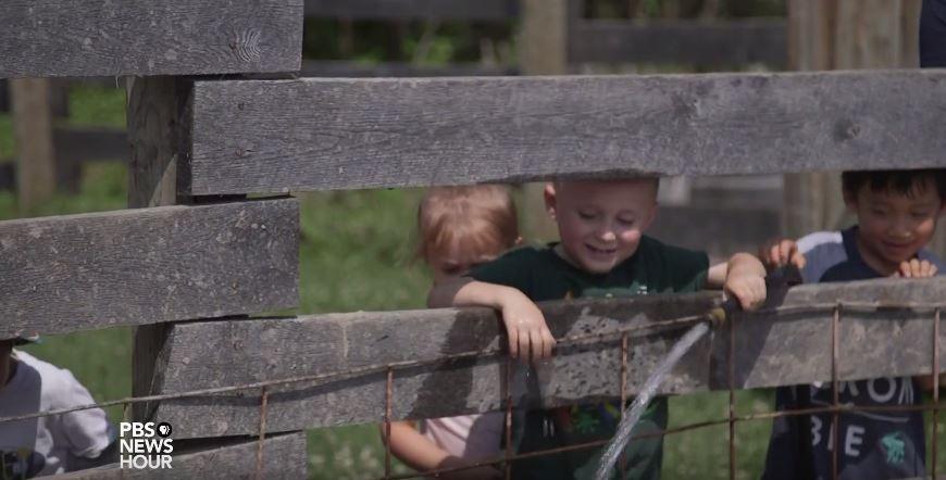 B is for bug when preschoolers make nature their classroom