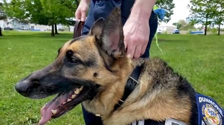 Video thumbnail: Short Takes Alan Finn: Police Dog Trainer
