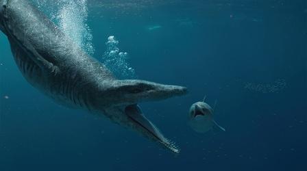 Video thumbnail: Nature T-Rex vs. Jurassic Sea Monster