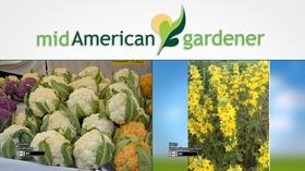 Video thumbnail: Mid-American Gardener September 20, 2018 - Mid-American Gardener