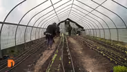 Detroit People’s Food Co-op broadens healthy food access