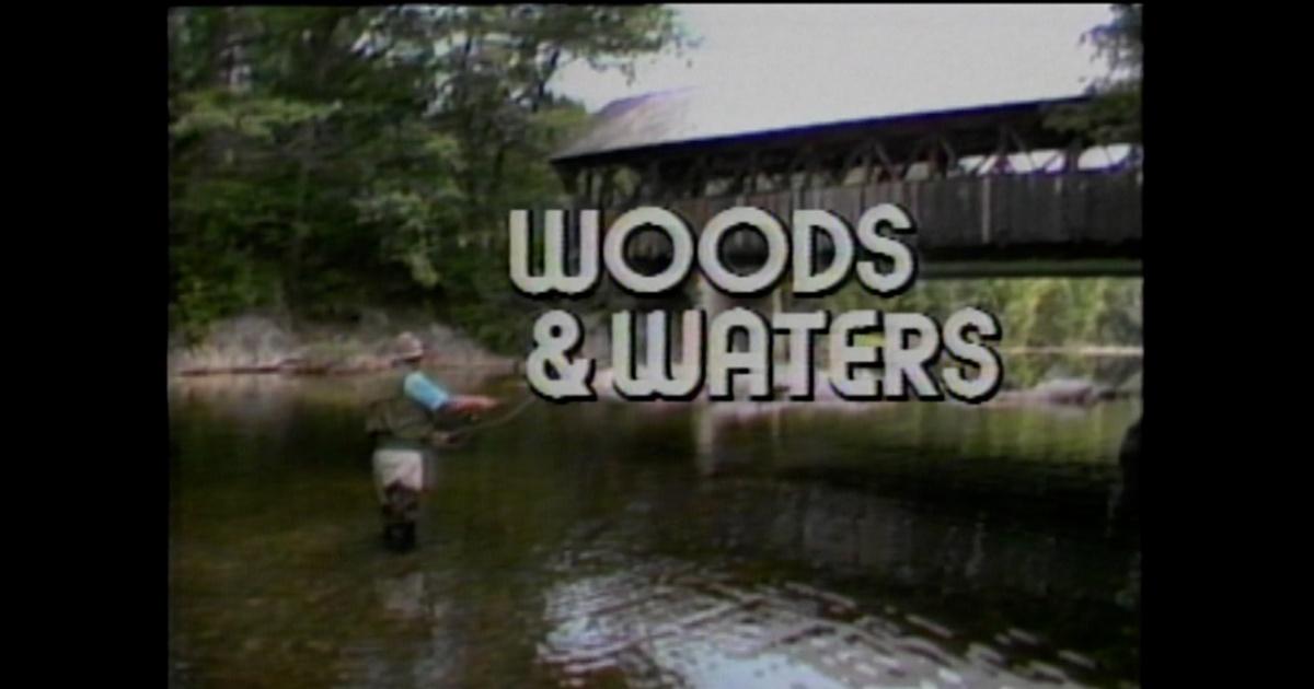 From The Vault, Woods and Waters