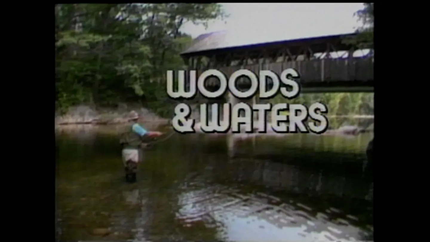 Woods and Waters