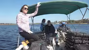 Oyster Farming and Doing The Right Thing!