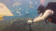 Single-Use Planet