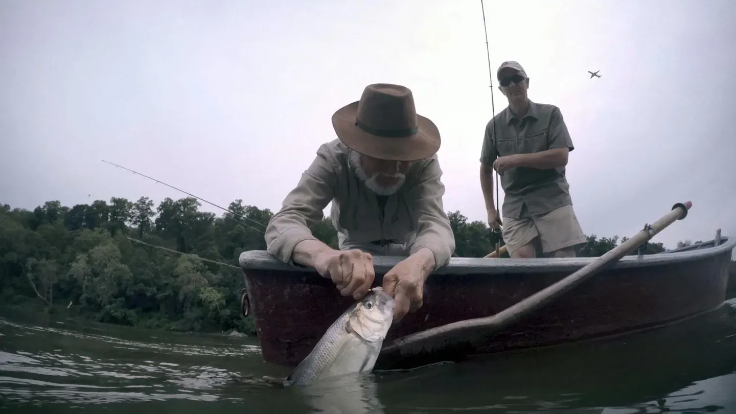 Shad Run
