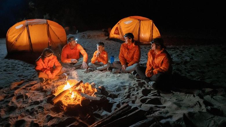 The Survivalists Image