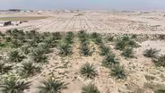 Why the planet is rapidly drying out, according to new study