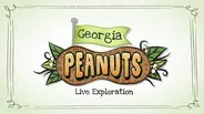 Live Exploration: Georgia Peanuts