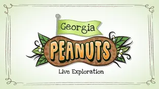 Live Exploration: Georgia Peanuts