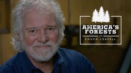 Video thumbnail: America's Forests with Chuck Leavell Oregon