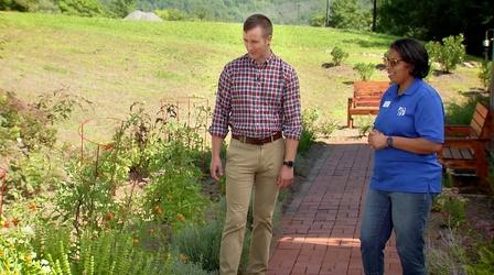 Video thumbnail: Virginia Home Grown Nelson Memorial Library Garden