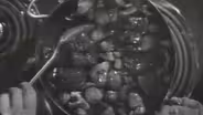 Boeuf Bourguignon