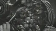 Boeuf Bourguignon