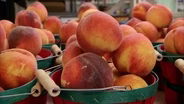 Prize Winning Peaches