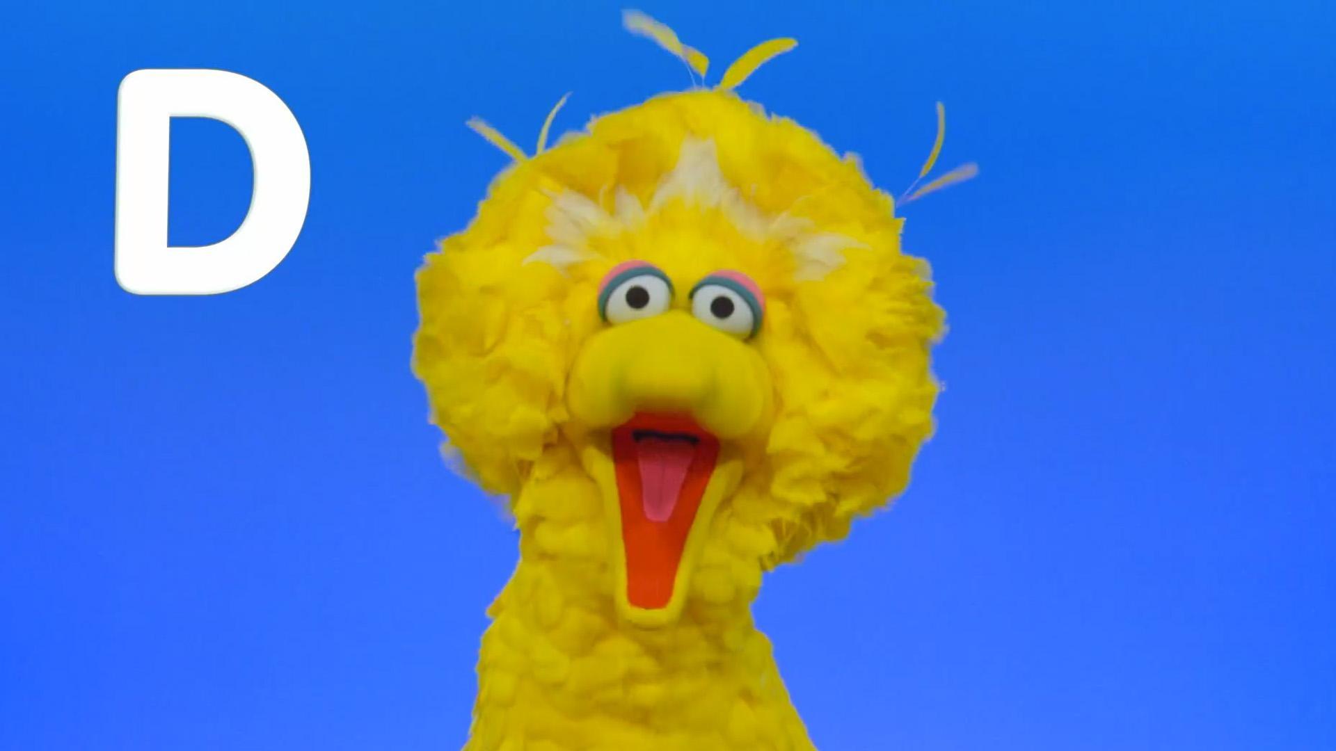 Letter of the Day: D