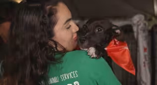 Pet Adoptions & Volunteering