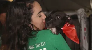 Pet Adoptions & Volunteering